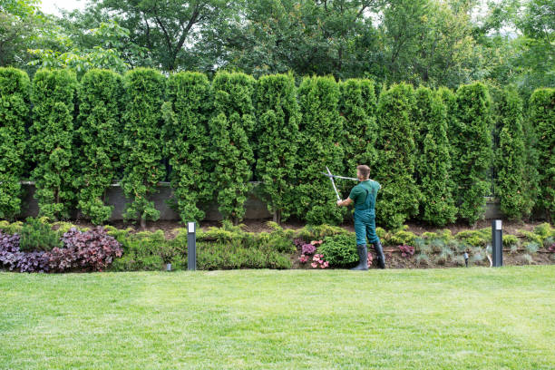 Best Organic Lawn Care Solutions  in Cloverdale, VA