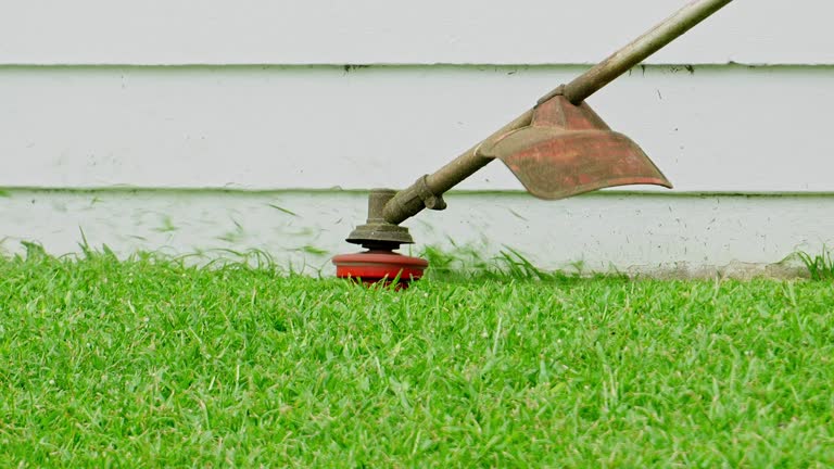 Best Pest Control for Lawns  in Cloverdale, VA