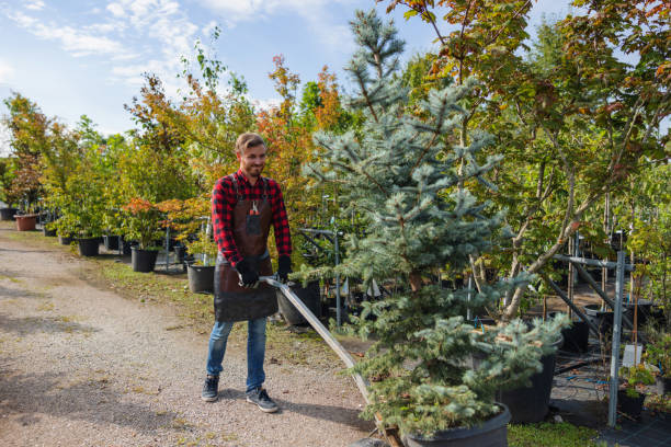 Best Commercial Tree Services  in Cloverdale, VA